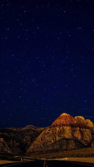 如何搭建高质量蜘蛛池截图1