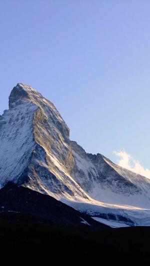 seo排名工具选择截图1