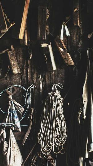 张家界网站建设截图3