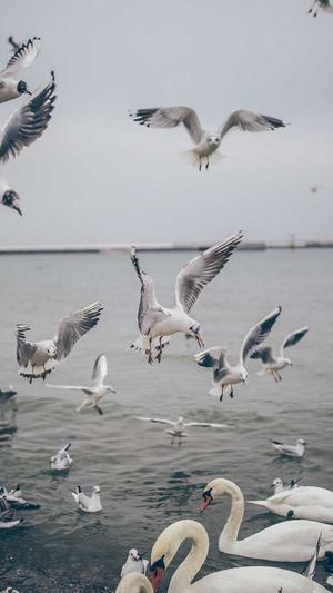 百度seo关键词优化工具截图1