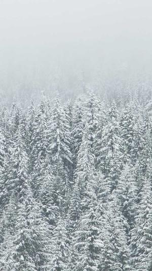 泛目录程序教学截图2