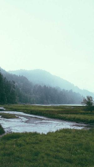 蜘蛛池种类截图3