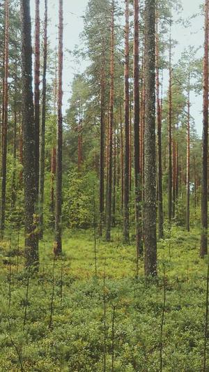 网站蜘蛛池注意事项截图3