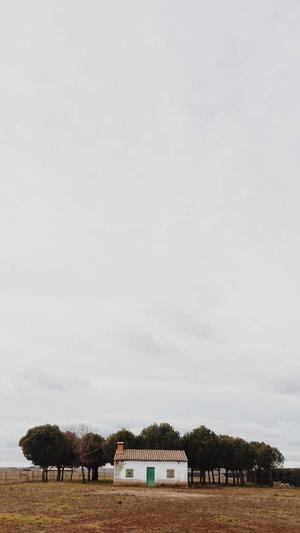 寄生虫泛目录这些网站截图1