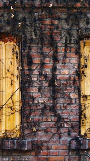 seo关键词查询工具截图5