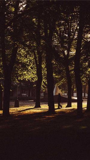 泛目录程序截图3