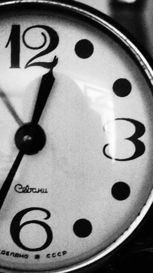 蜘蛛池域名要求截图5