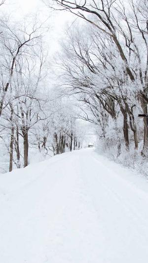 湖南营销型网站建设截图1