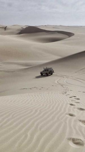 千站云蜘蛛池搭建教程截图2