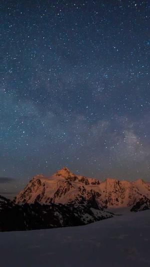 上海蜘蛛池出租平台截图1