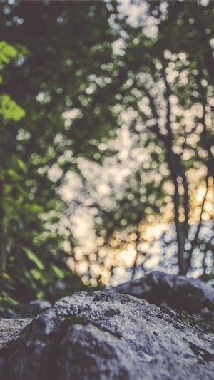 关键词泛目录代做排名截图2