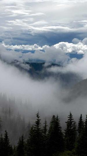 晋江网站建设截图4