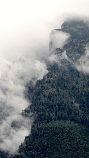 asp.net网站建设截图1