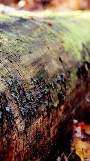 佛山市网站建设截图4