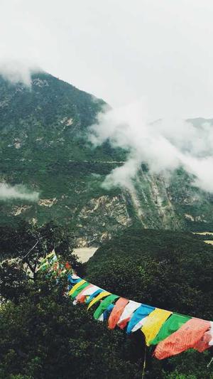 seo优化工具下载截图1