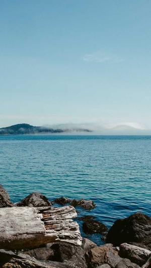 二级泛目录截图4