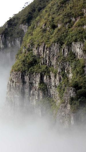 关键词泛目录代做排名截图3